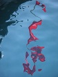 Reflection Shapes in Water.jpg